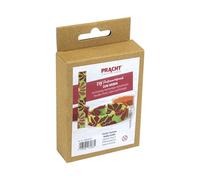 Pracht Creatives Hobby 5884-00251-Kit de Manualidades para Crear una Pulsera de Flores, con Cuentas Miyuki Verdes y de Colores, tamaño Total Aprox. 17,5 x 1,5 cm, Multicolor, One Size