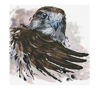 Pracht Creatives Hobby Ladybird Falcon - Kit de punto de cruz (30,5 x 30,5 cm), diseño de saluta