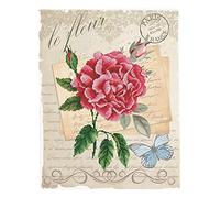 Pracht Creatives Hobby Ladybird - Kit de punto de cruz (35,7 x 45,7 cm), diseño de rosas