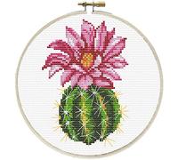 Pracht Creatives Hobby Ladybird - Kit de punto de cruz con marco de bordado (15,2 cm de diámetro), diseño de cactus rosa