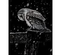 Pracht Creatives Hobby Royal & Langnickel - Búho para rascar, Plata, Dibujos para rascar para niños y Adultos, con bolígrafo para rascar y Plantilla