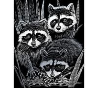 Pracht Creatives Hobby Royal & Langnickel - Cuadro para rascar mapaches, Plata, Cuadros para rascar para niños y Adultos, con bolígrafo para rascar y Plantilla