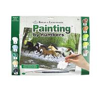 Pracht Creatives Hobby Royal & Langnickel - Painting By Numbers Galloping Horses, contiene Colores y Pinceles, Para Adultos y Niños A Partir de 8 Años