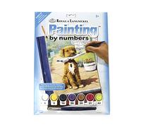 Pracht Creatives Hobby Royal & Langnickel - Painting By Numbers Newspaper Boy, contiene Colores y Pinceles, Para Adultos y Niños A Partir de 8 Años