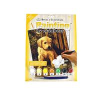 Pracht Creatives Hobby Royal & Langnickel - Painting By Numbers Puppy, contiene Colores y Pinceles, Para Adultos y Niños A Partir de 8 Años
