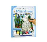 Pracht Creatives Hobby Royal & Langnickel - Pintura Por Números Gatito con Mariposa, contiene Colores y Pinceles, Para Adultos y Niños A Partir de 8 Años