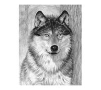 Pracht Creatives Hobby Royal & Langnickel - Sketching - Dibujar es fácil para los niños a Partir de 8 años, el Cuadro con Motivo de Lobo Ofrece la introducción Ideal al Dibujo expresivo