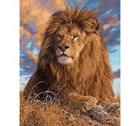 Pracht Creatives Hobby Set de Pintura Diamante, Cuadro con Motivo de león y Accesorios, tamaño Aprox. 25 x 35 cm, Set de Manualidades para Pintar con Piedras Brillantes para niños a Partir de 5 años