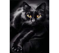 Pracht Creatives Hobby Set de Pintura Diamante, Cuadro con Motivo Gato Negro y Accesorios, tamaño Aprox. 35 x 25 cm, Set de Manualidades para Pintar con Piedras, para niños a Partir de 5 años