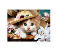 Pracht Creatives Hobby Set para Pintar con Diamantes, Cuadro con Motivo de Gato con Sombrero y Accesorios, Set de Manualidades para Pintar con Piedras Brillantes, para niños a Partir de 5 años