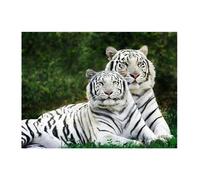 Pracht Hobby Set de Pintura con Diamantes, Cuadro con Motivo de Tigre Blanco y Accesorios, Set de Manualidades para Pintar con Piedras Brillantes, para niños a Partir de 5 años