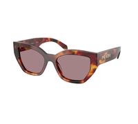 Prada Mujer PR A09S 22A20I Gafas de sol Acetato Tortuga Marrón Mariposa Normal