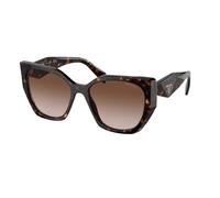 Prada Mujer Prada PR 19ZS 2AU6S1 Gafas de sol Acetato Tortuga Marrón Pillow Normal Sombreado