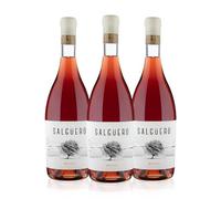 Pradorey | Salgüero Rosado Vino Rosado Tempranillo y Merlot, Vino de Guarda, D.O. Ribera del Duero, 0,75 L Pack 3 Botellas (2020)