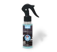 Prady ambientador coche pirate - frasco de 100 ml - spray pulverizador