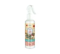 Prady - Ambientador Home Spray Oriental Dragon - 220ml - Misterio y Elegancia en tu Hogar