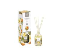 Prady - Ambientador Mikado Home Oriental Journey - 100ml - Aroma Especiado y Exótico - Perfuma el Hogar con Elegancia - Fragancia Cálida - Ambientes con Personalidad