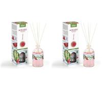 PRADY - Ambientador Mikado Sandia - 100ml - Aroma Jugoso y Refrescante (Paquete de 2)
