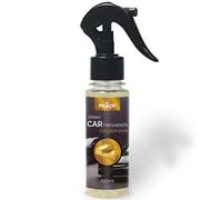 Prady - Ambientador para Coche Golden Man - 100ml - Aroma Masculino Elegante y Duradero - Inspirado en Fragancias Premium - Absorbe Olores - Perfuma con Intensidad, Frescura - Estilo Sofisticado