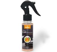 Prady - Ambientador para Coche Mango - 100ml - Aroma Tropical Dulce y Exótico - Elimina Malos Olores al Instante - Refresca el Interior del Vehículo - Fragancia Afrutada