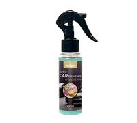Prady - Ambientador para Coche Ritual de Spa - 100ml - Aroma Fresco y Relajante Inspirado en Esencias Naturales - Elimina Malos Olores al Instante - Pulverizador Práctico