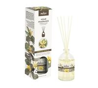 Prady ? mikado ambientador tobacco vanille + varillas ? 100ml ?