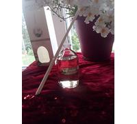 PRADY Mikado Jardín de Gardenias - 100 ml - Fragancia floral y fresca