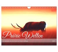 Prärie Welten - Ein Kalender, der die Seele der Prärie einfängt. (Wandkalender 2