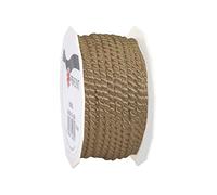 PRÄSENT Mosel - Correa para Equipaje (25 m de Largo, 4 mm de Ancho), Verde Lima (Beige) - 9020425-105