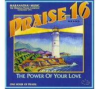 Praise - Vol. 16 (the Power of Your Love)