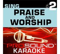Praise & Worship - Sing-a-Long-Vol. 2