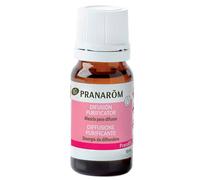 Pranabb Purificador Difusion Eco 10ml
