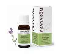 Pranarôm Aceite Esencial de Espliego Macho 10ml