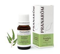 Pranarôm Aceite esencial Eucalipto Azul BIO quimitipado – Músculos y Articulaciones – 10 ml