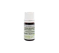Pranarom - Aceite Esencial Té de Labrador 5 ml - Bio - 5 ml | Huiles Essentielles