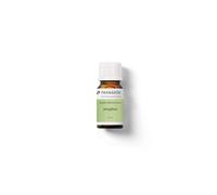 PRANAROM - Jengibre Bio - Aceite Esencial Quimiotipado - Tónico Digestivo - 100% Puro y Natural - HECT - 5 ml