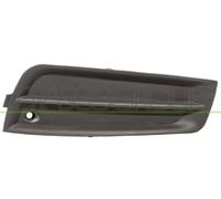 Prasco Abdeckung, Scheinwerfer DW0401249