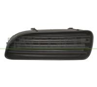 Prasco Abdeckung, Scheinwerfer TY0871248