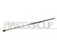 PRASCO Amortiguador de maletero FT9089055 Atrás izquierda Atrás derecha 866 430 360