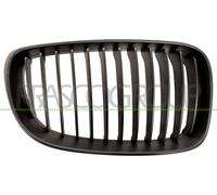 PRASCO BM1212013 Rejilla delantera negro Compatible con BMW 1 Hatchback E87 1 Hatchback E81