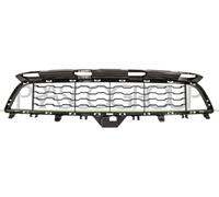 Prasco bm4002120 frontal parrilla Alerón