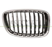 Prasco bm5002003 frontal parrilla Alerón