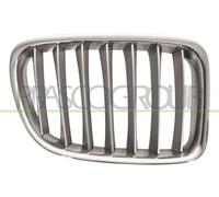 Prasco bm7022033 frontal parrilla Alerón