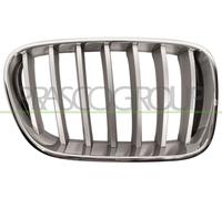 Prasco BM8042013 Alerón Delantero de Rejilla