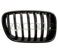 Prasco bm8052003 frontal parrilla Alerón