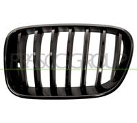 Prasco bm8052004 frontal parrilla Alerón