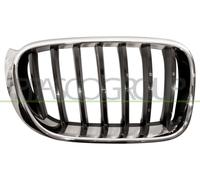 Prasco bm8062003 frontal parrilla Alerón