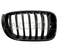 Prasco bm8072003 frontal parrilla Alerón