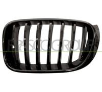 Prasco bm8072004 frontal parrilla Alerón