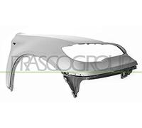 PRASCO BM8403003 Guardabarros con orificio para luz intermitente Delante, derecha Compatible con BMW X6 E71, E72